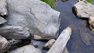 Hippy hole 9/24/19