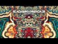 Blackbird Blackbird - Rare Candy