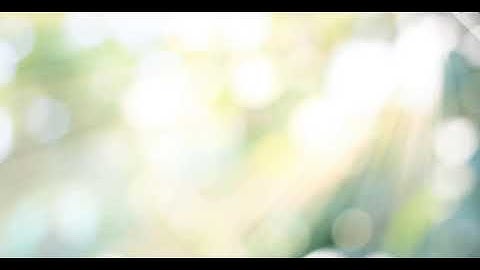 Multi color lights blur Background Blur Bokeh Creative Video for Projects and Video Editing  32