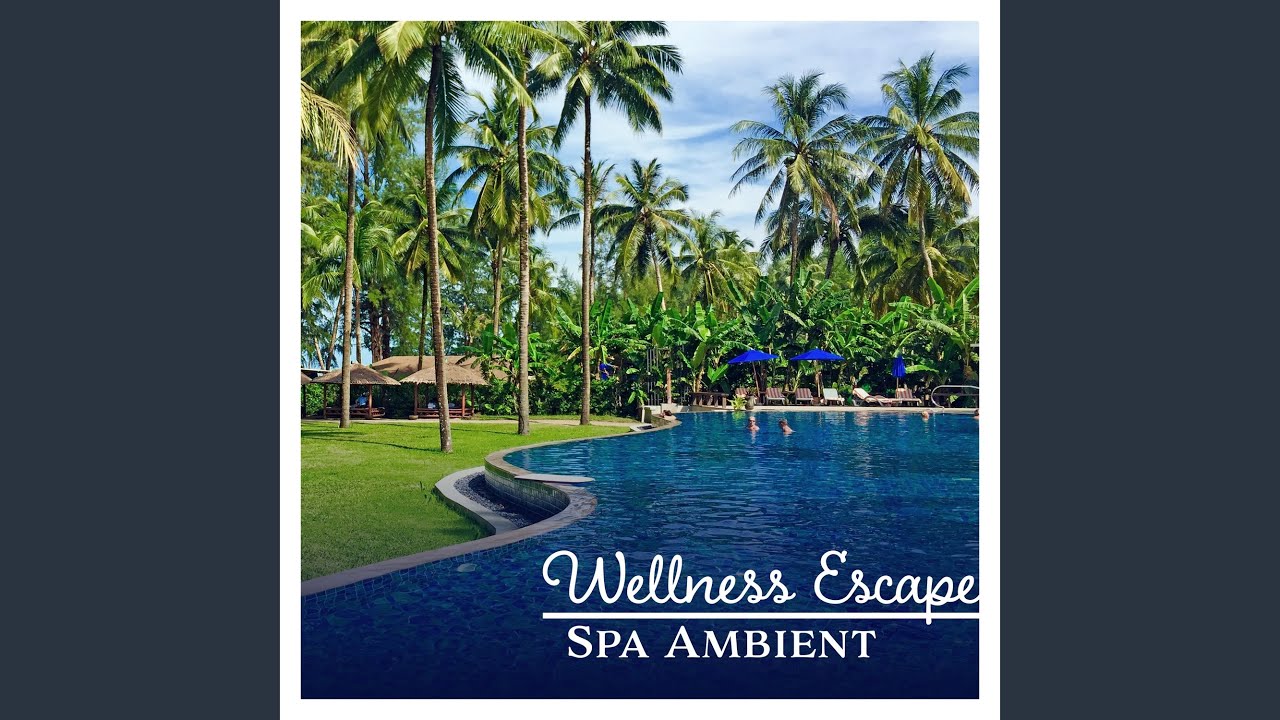 Wellness Escape