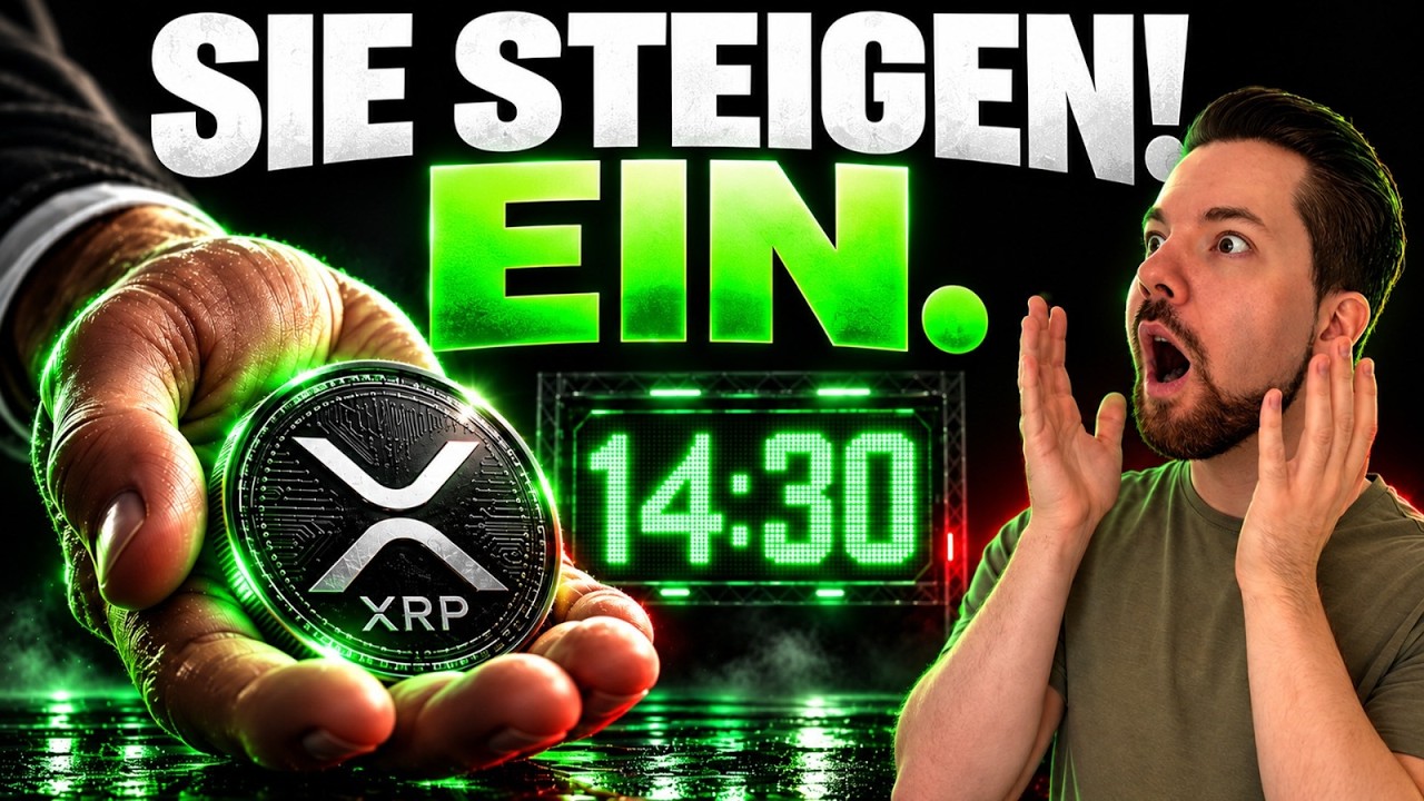 XRP: DAS IST ES, worauf wir gewartet haben!