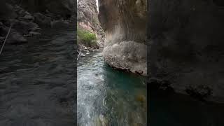 Рыбалка на Маринку Baliq ovi marinka #fishing #балык #fisherman #nature