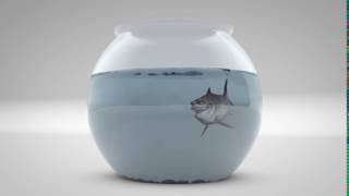 Cinema 4D shark