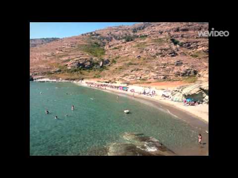 ΑΝΔΡΟΣ Copper beach