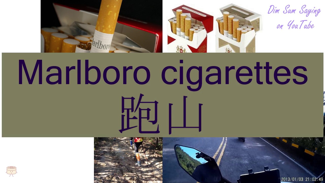alp chewing tobacco Nicotine Pouches - Beginner's Guide