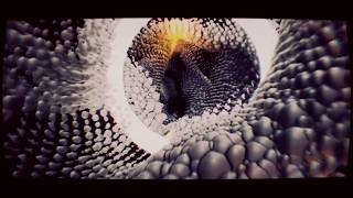 Cocoon - Shunting Yard | Demoscene
