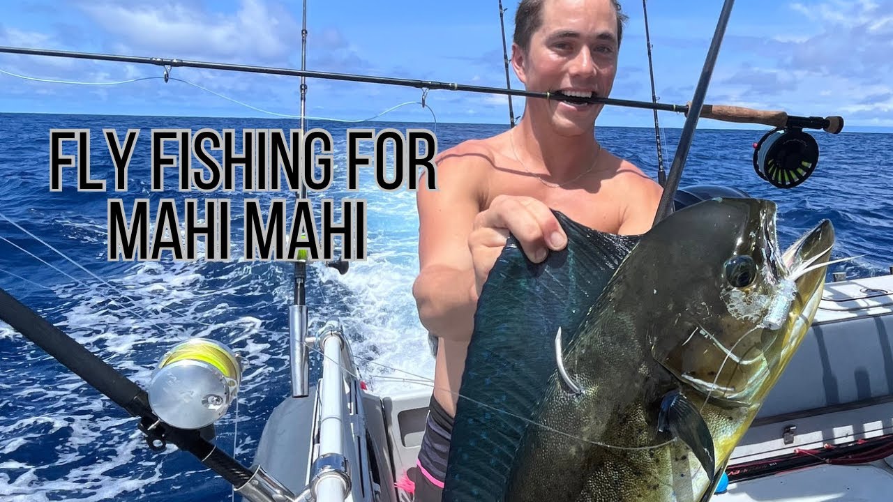 FLY FISHING FOR MAHI MAHI YouTube