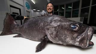 The Unknown Fish Better Than The World's Most Popular Fish