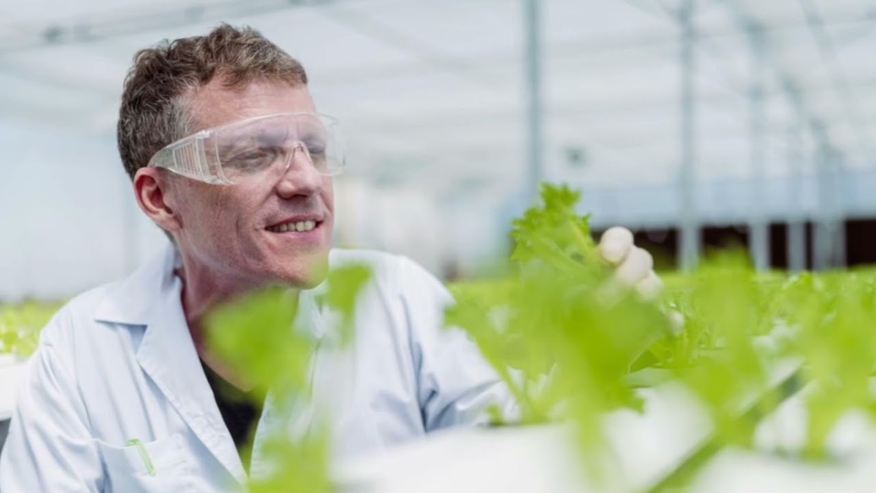 Unveiling the Secrets of Bat Cave, NC!