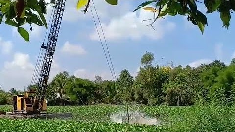 Xáng cạp đất. Xáng dây cảnh bơi trên sông bèo tây dầy đặc167- Thủy Miền Tây