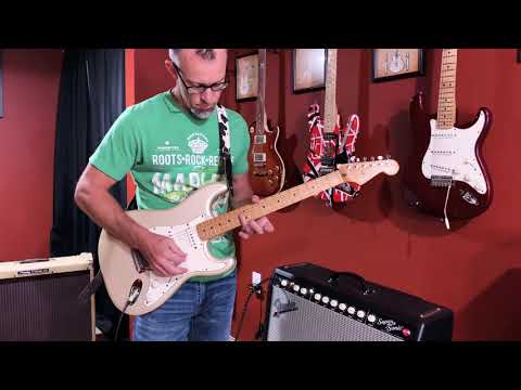 Stevie Ray Vaughan guitar Lenny Cover