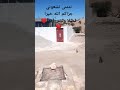 تمازيرت اينو بلادي الغالية