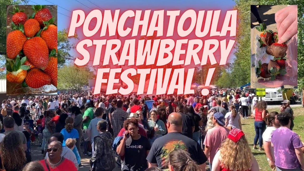 Massive Crowds At Ponchatoula Strawberry Festival Louisiana Festival