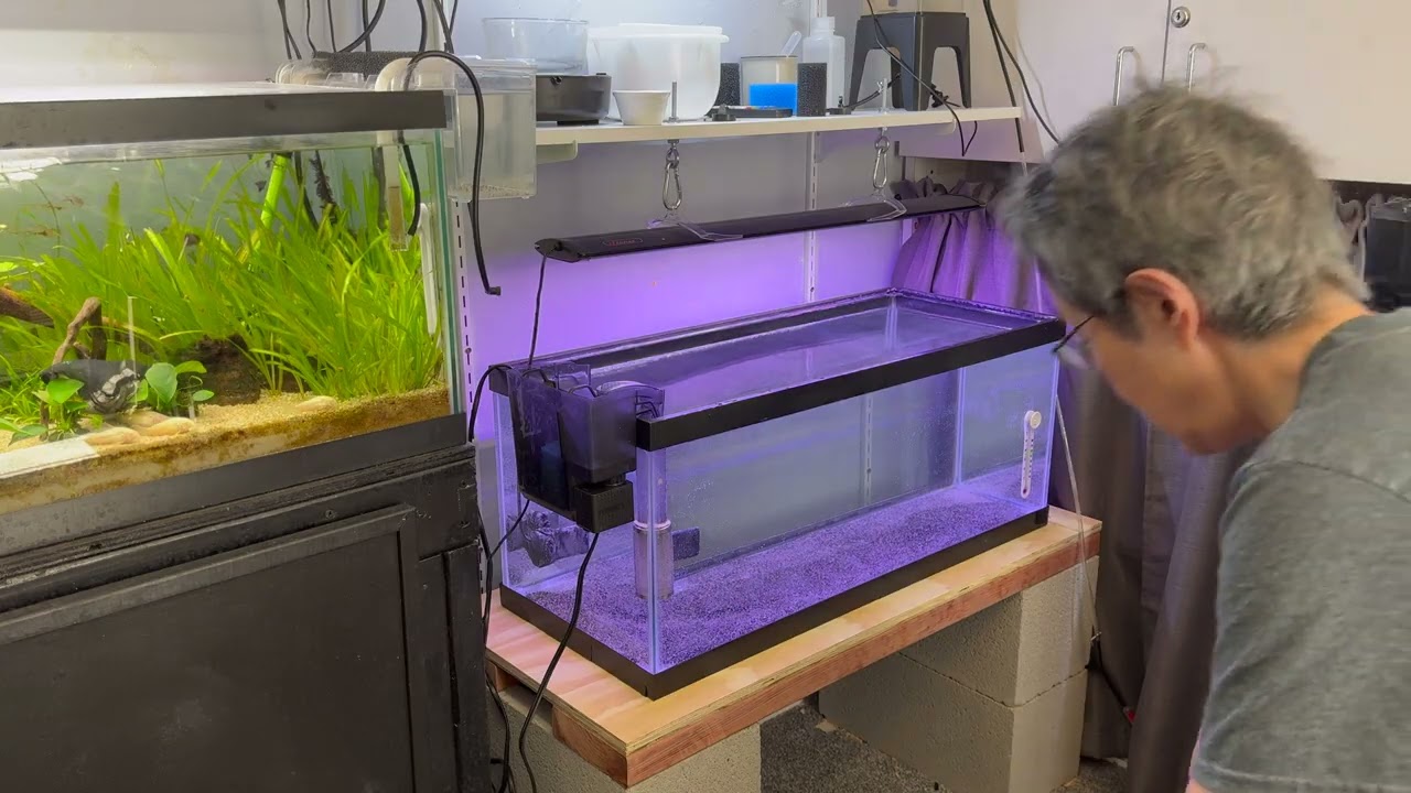 Sand for my Cory Fry