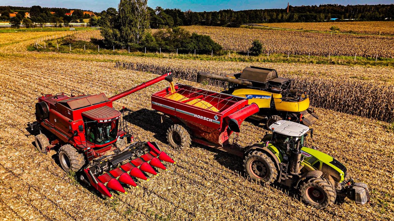 JESIEŃ W RSP WYDROWICE CZYLI ŻNIWA KUKURYDZIANE 2024!!! ODWÓZ NA 4 ZESTAWY // PRZEŁADOWCZA 30 TON!