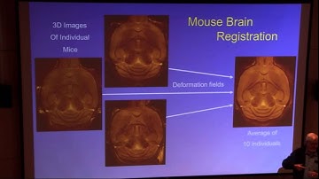 VIZBI 2013: Genes and Geometry - Mark Henkelman