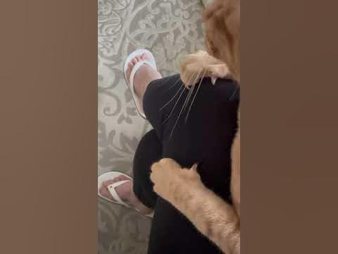 Сладусик Тимофейка - YouTube