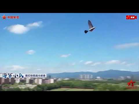 Дрон-птах