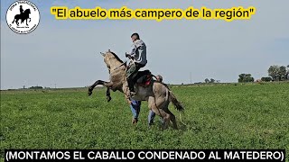 ⛔️ 🔺️CABALLO PELIGROSO CON MAÑAS/  CONDENADO AL MATADERO 😱NO VAN  A CREER COMO REACCIONO  ⚠️