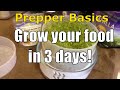 Prepper Basics: Grow Your Food In 3 Days