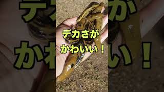 ゲベ　ソフビ　バナナ　ナメクジ　希少 ゲベ ソフビ バナナ ナメクジ 希少 - メルカリ