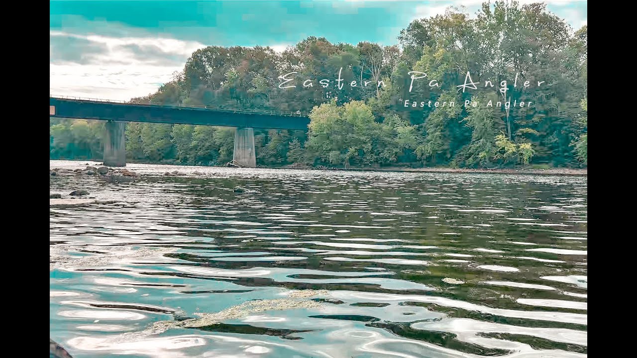Enjoying A Beautiful Night Out Wading for Good Numbers of Smallmouth Bass On The Delaware River