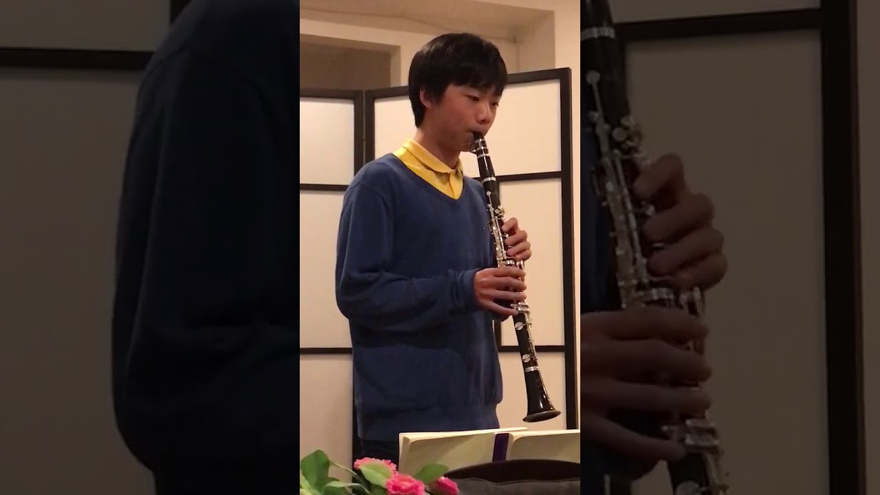 GIPSY AIR BY CARL BAERMANN PLAYED BY ANDREAS LUO_2016 YouTube