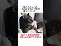 猫との絆を深める行動の秘密【猫の雑学】可愛いすぎる秘密7選😭#ねこ #ねこのいる暮らし #雑学