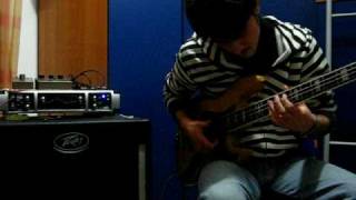 Peavey Tour 700