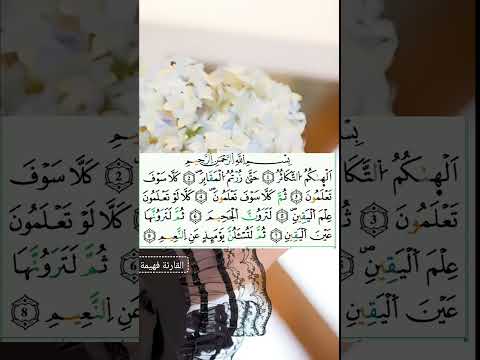 سورة التكاثر برواية ورش للقارئة فهيمة