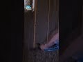 Some More Scrubber Action! #insulation #construction #shorts