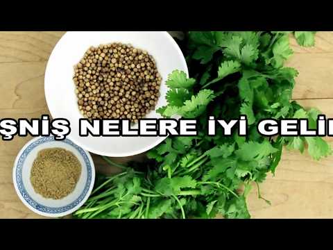 TRT1 - 11  Kişniş Nelere İyi Gelir?