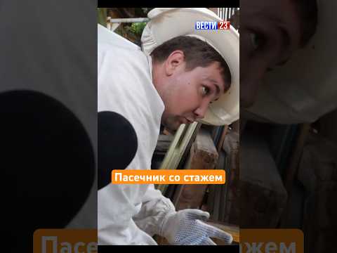 Видео: Добрые пчёлы #орешек #батя