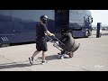 Welcome to Aragón | 4 Hours of Aragón 2023 | ELMS