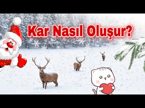 Kar nasıl oluşur?