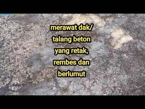 Video: Dengan apa membersihkan pelat teras?