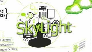 Celebrity Skylight Introduction Net Worth