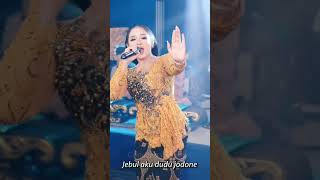 Download Lagu sadar posisi #nikensalindriterbaru MP3 Download Lagu sadar posisi #nikensalindriterbaru MP3