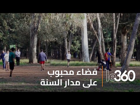 الغابة الحضرية هيلتون فضاء أخضر ممي ز لساكنة الرباط