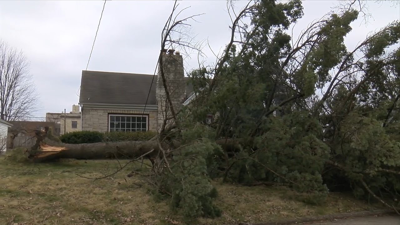 Rockford community reacts to tornado storm damage YouTube