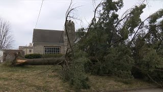 Rockford community reacts to tornado storm damage screenshot 1