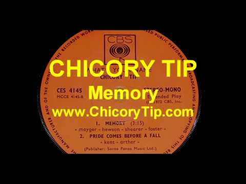 Chicory Tip — CHICORY TIP - MEMORY (AUDIO)