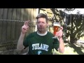 Louisiana Beer Reviews: Samuel Adams Boston Lager