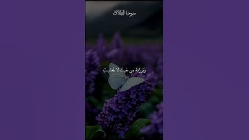 ومن يتق الله يجعل له مخرجا#حالات_واتس #قرآن #quran #سورة #الطلاق #خشوع_التلاوة