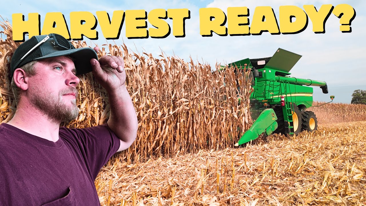 Готовы ли мы к жатве?