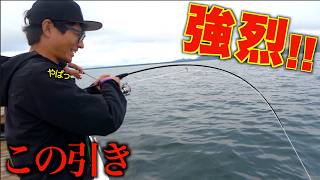 釣ったことの無いようなサイズの〇〇の引きが凄かった！！