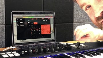 Endlesss Studio VST first glimpse - collab live from your DAW