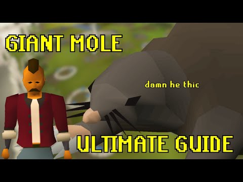 OSRS Giant Mole Ultimate Quick Guide for Noobs, Pet hunters, and MORE!