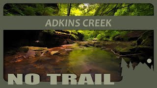 551 Upper Buffalo Wilderness hike down Adkins Creek where action is not present