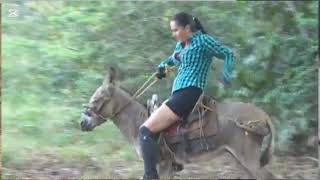 Girl Donkey Riding